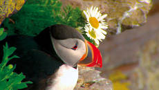 Szene aus dem Film von Stefan Erdmann