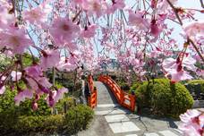 Japan – Sushi, Sake und Samurai